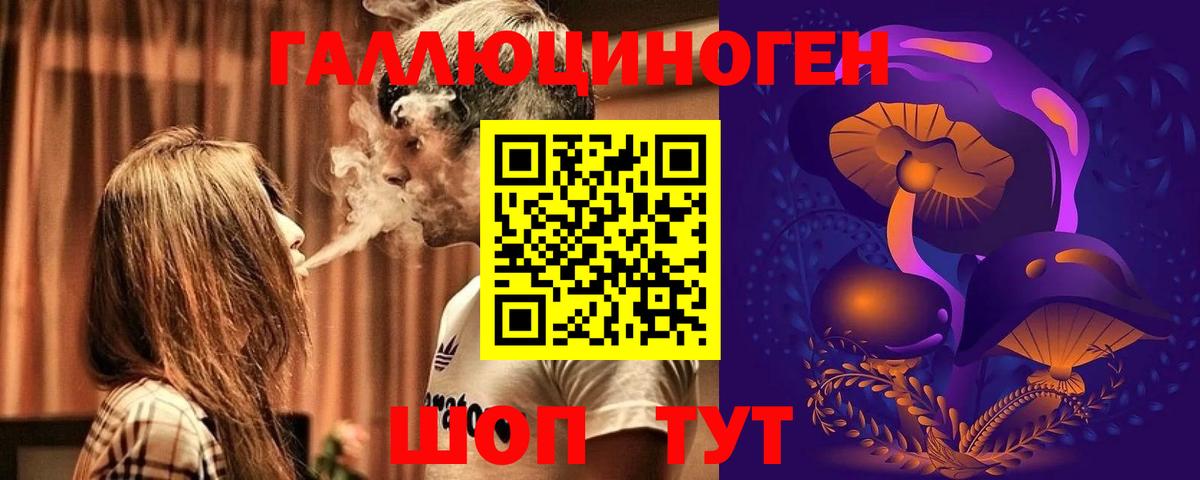 Галлюциногенные грибы Psilocybe Югорск